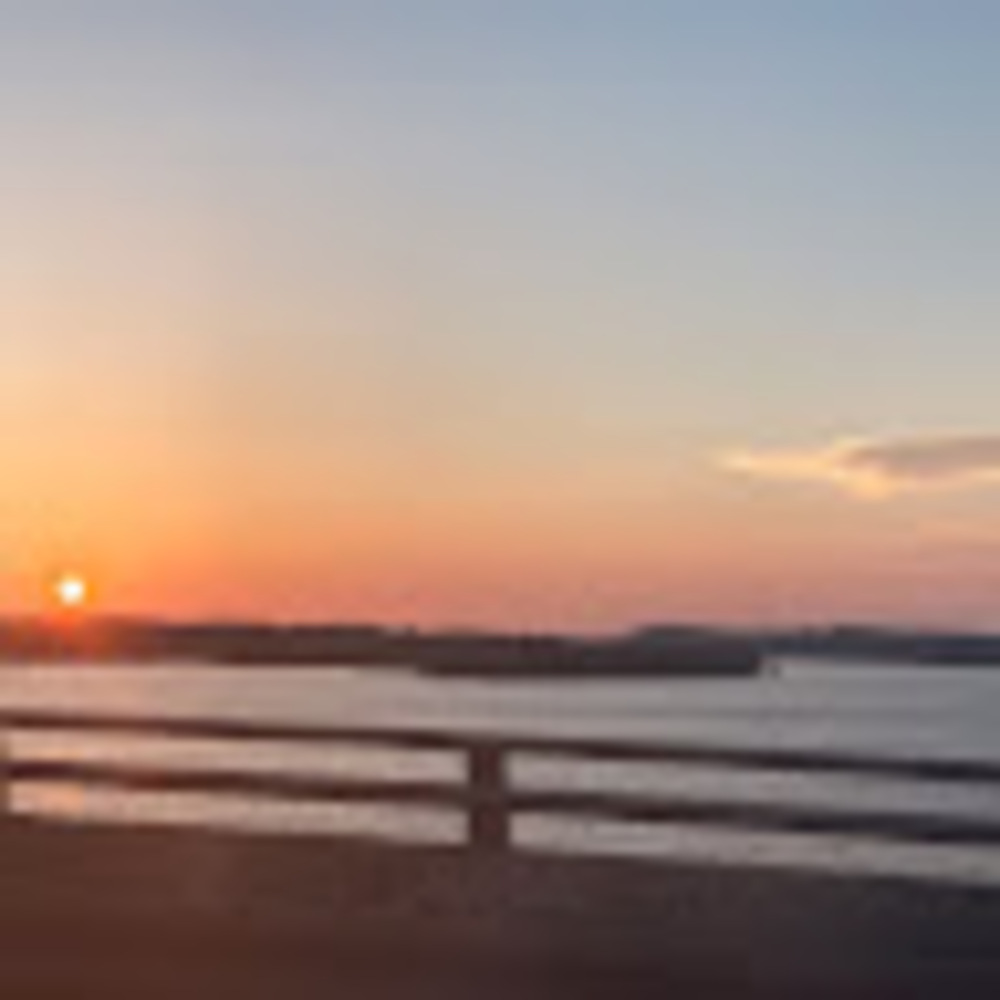 Meet your Posher, Sophia